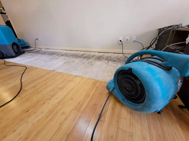 Professional Ceiling Water Damage Repair technician working in Sumner, MI