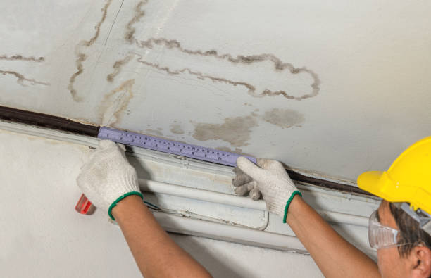 Affordable Ceiling Water Damage Repair solutions in Sumner, MI